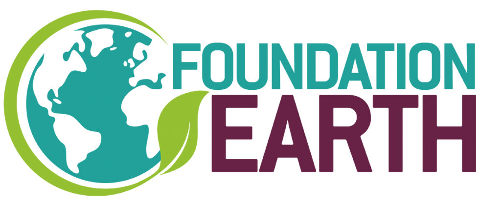 Foundation Earth