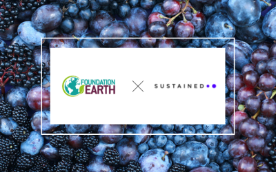 Automation for food ecolabelling: Foundation Earth teams up with Sustained